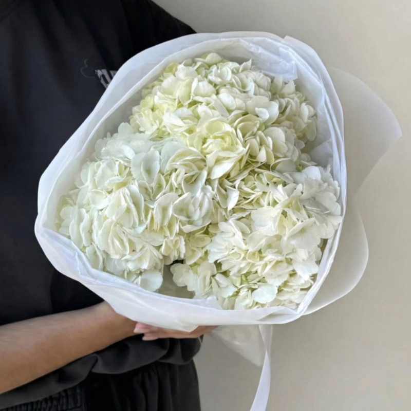 Нет заданного изображения 