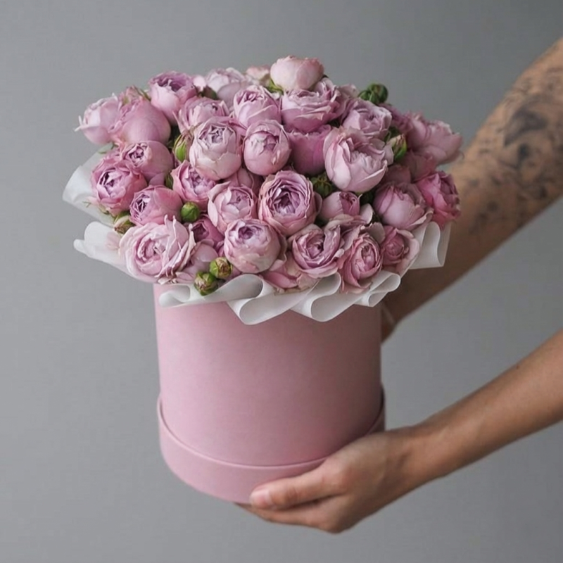 Нет заданного изображения 