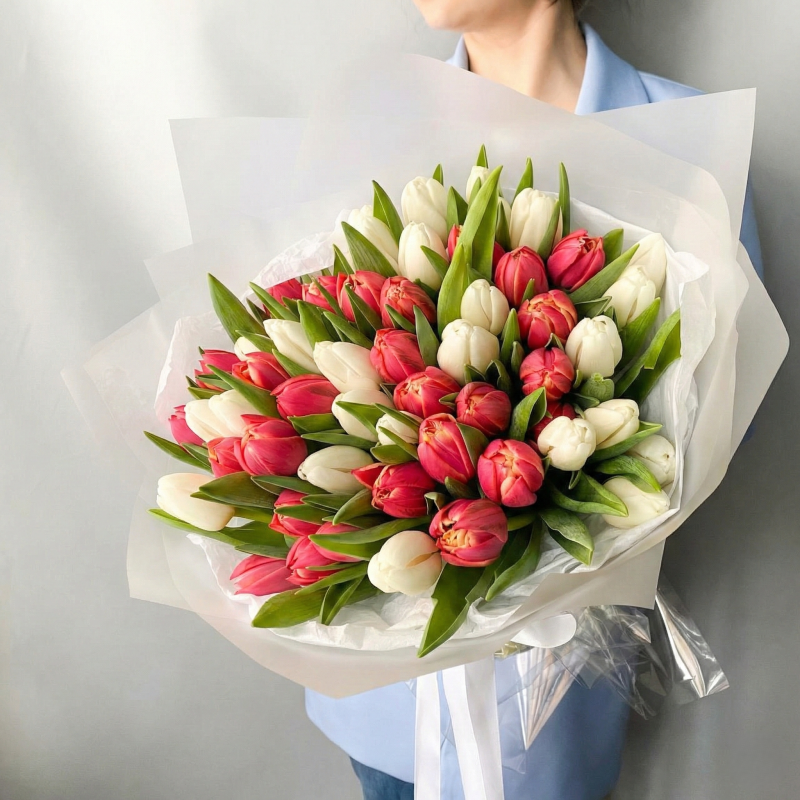 Gemini_Generated_Image_97uiqu97uiqu97ui