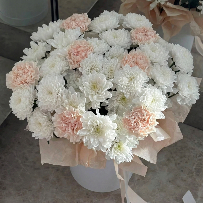 Нет заданного изображения 