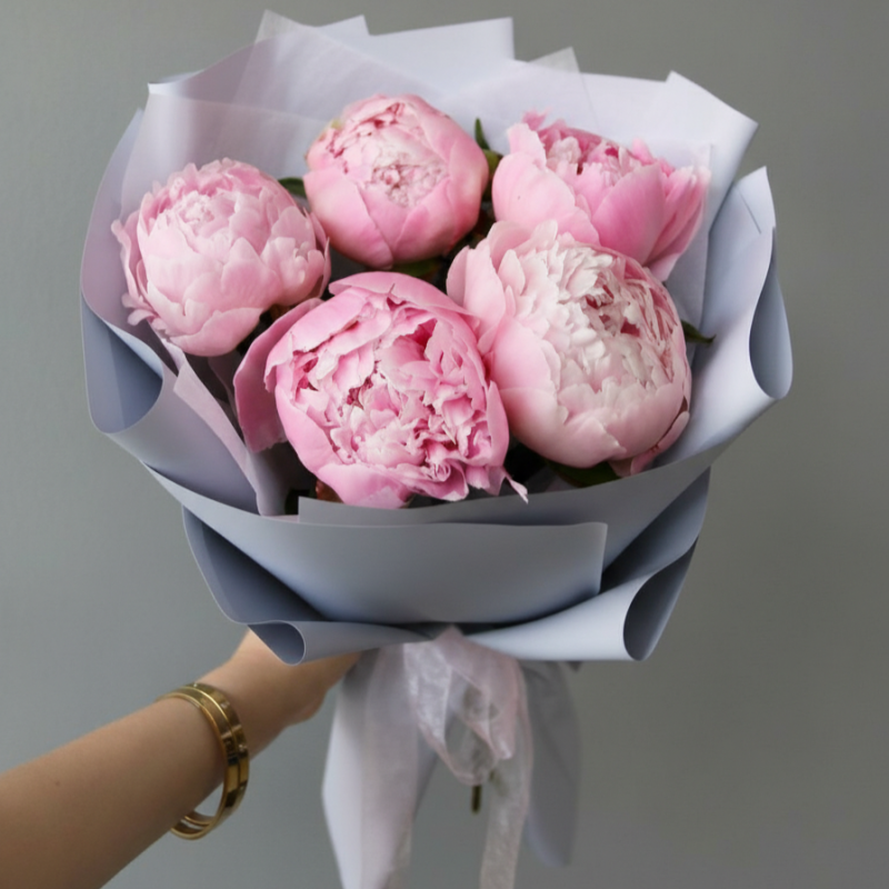 Нет заданного изображения 