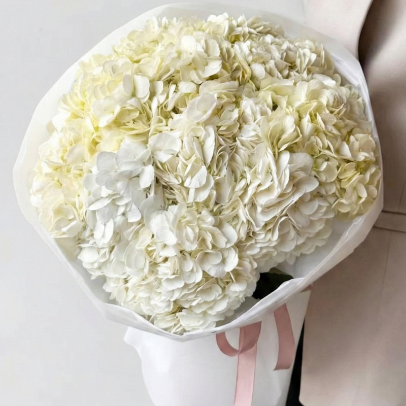 Нет заданного изображения 