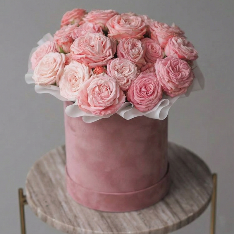 Нет заданного изображения 