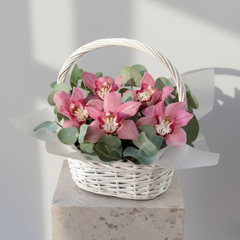 IMG_20260221_172736_653