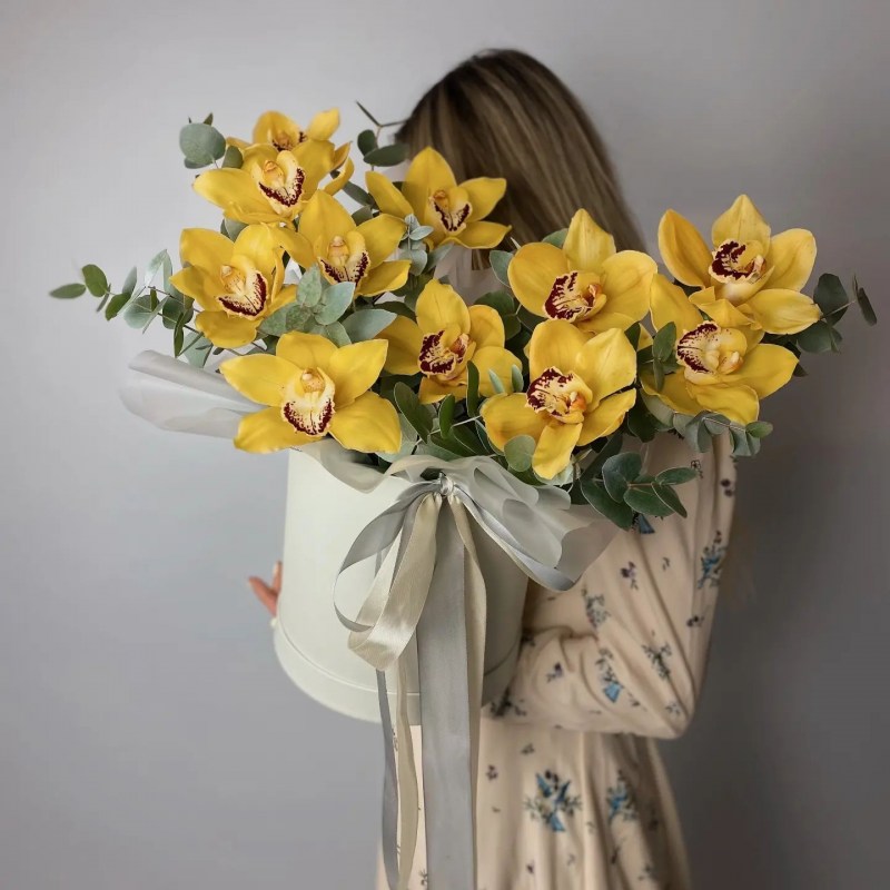 Орхидея в коробке Кишинев