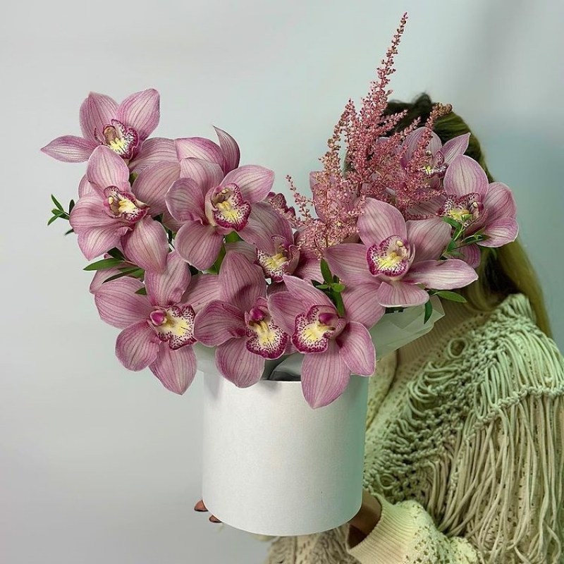Orchid Chisinau 