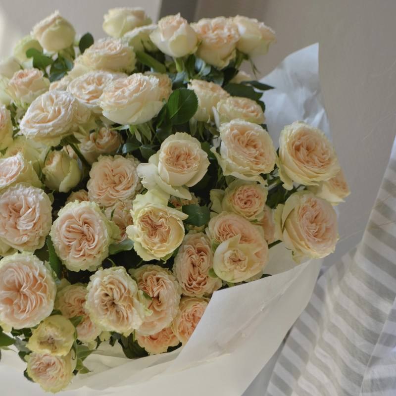 photo_2025-11-28_15-19-37