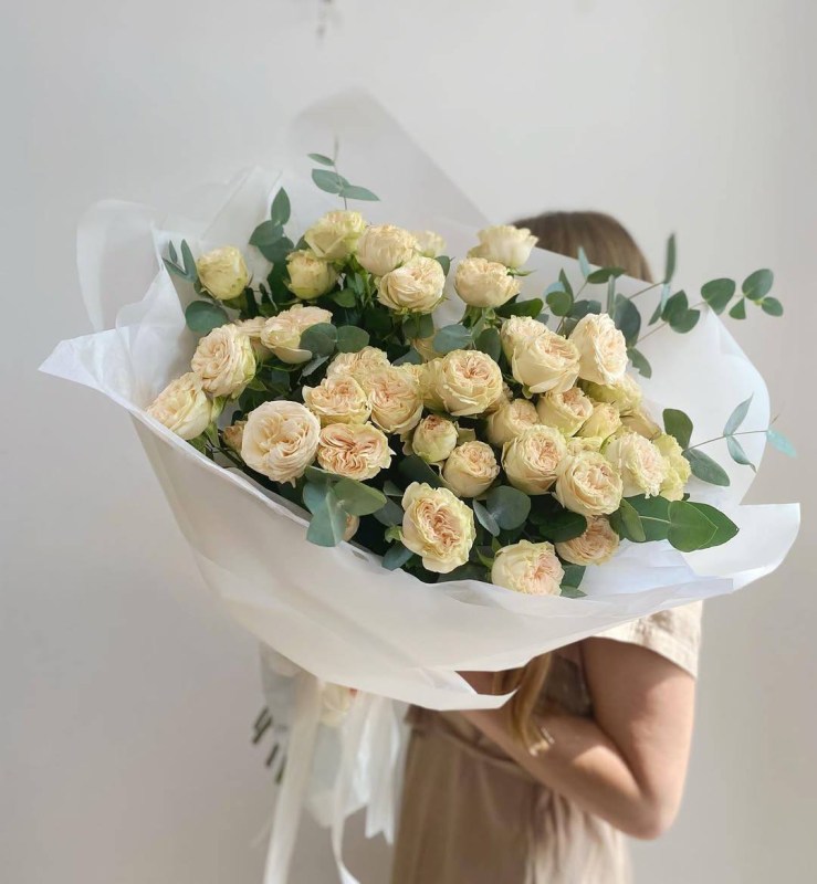 Нет заданного изображения 