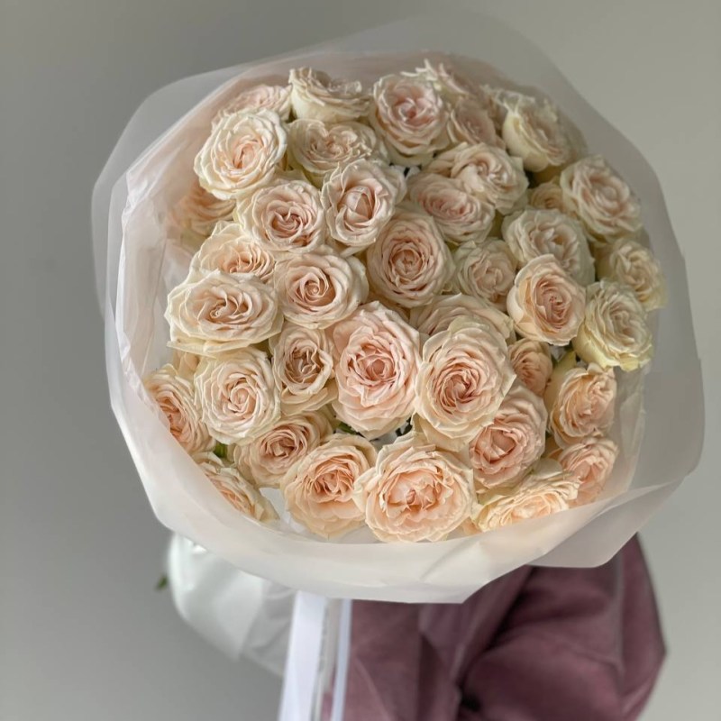 Нет заданного изображения 