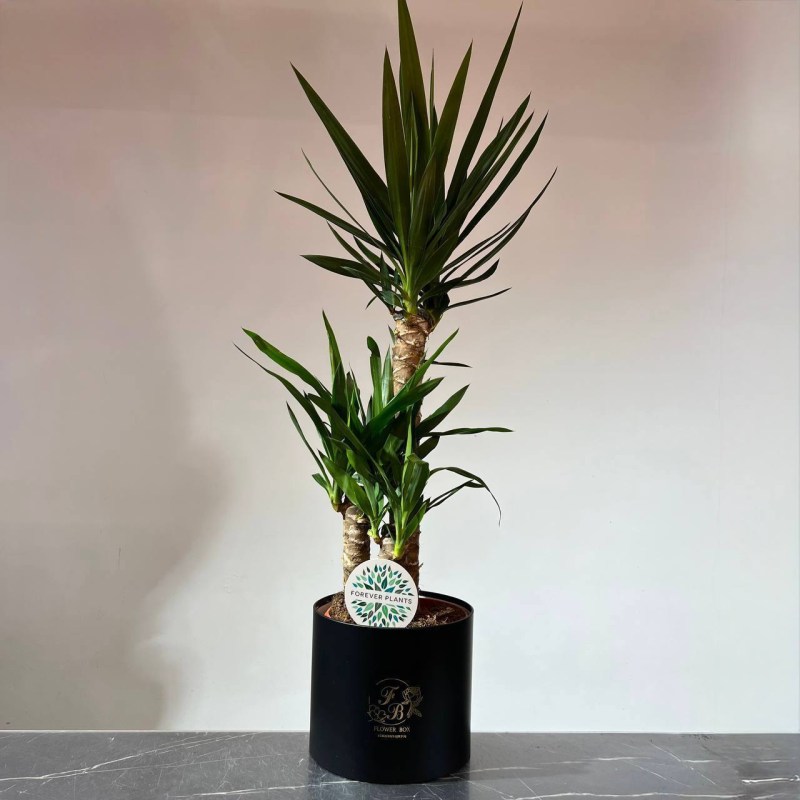 photo_2026-01-11_13-38-11