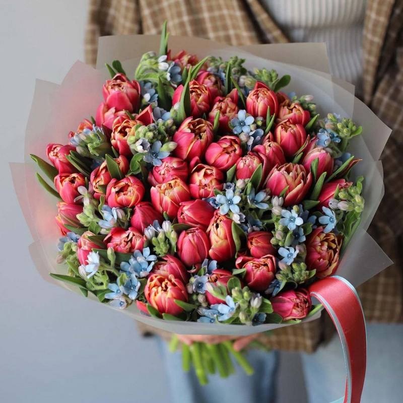 Нет заданного изображения 