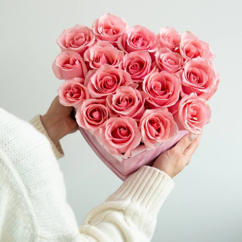 Нет заданного изображения 