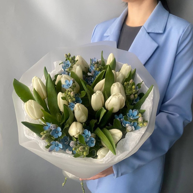 Нет заданного изображения 