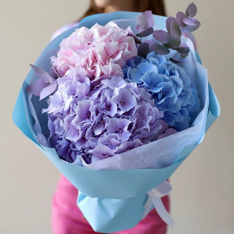 photo_2026-02-19_13-34-17