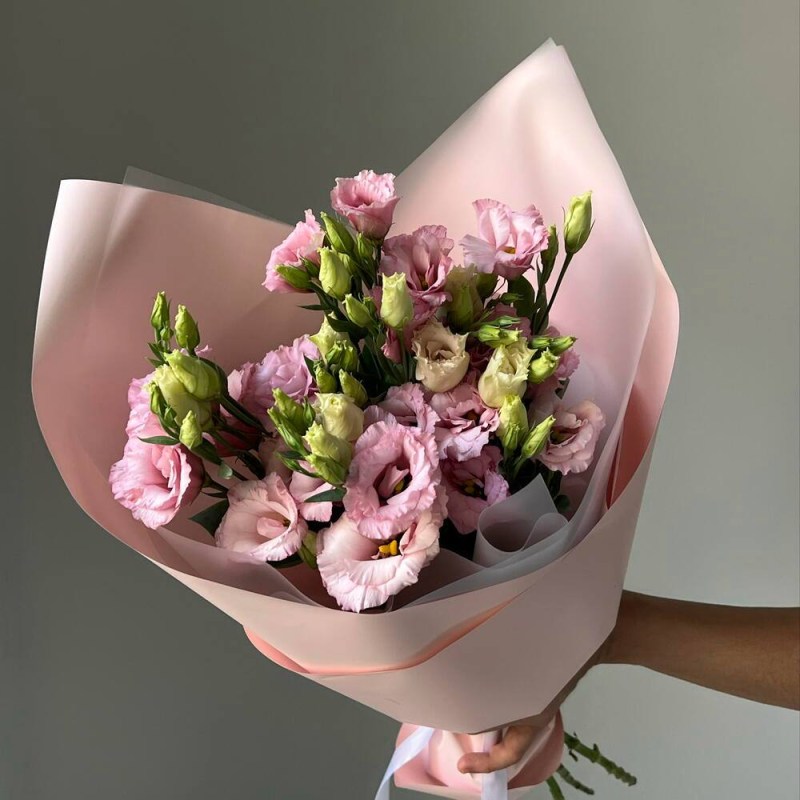 photo_2026-02-26_22-42-24