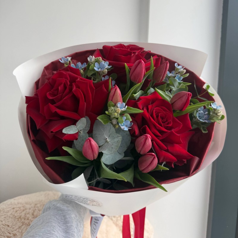 photo_2026-02-27_16-17-08