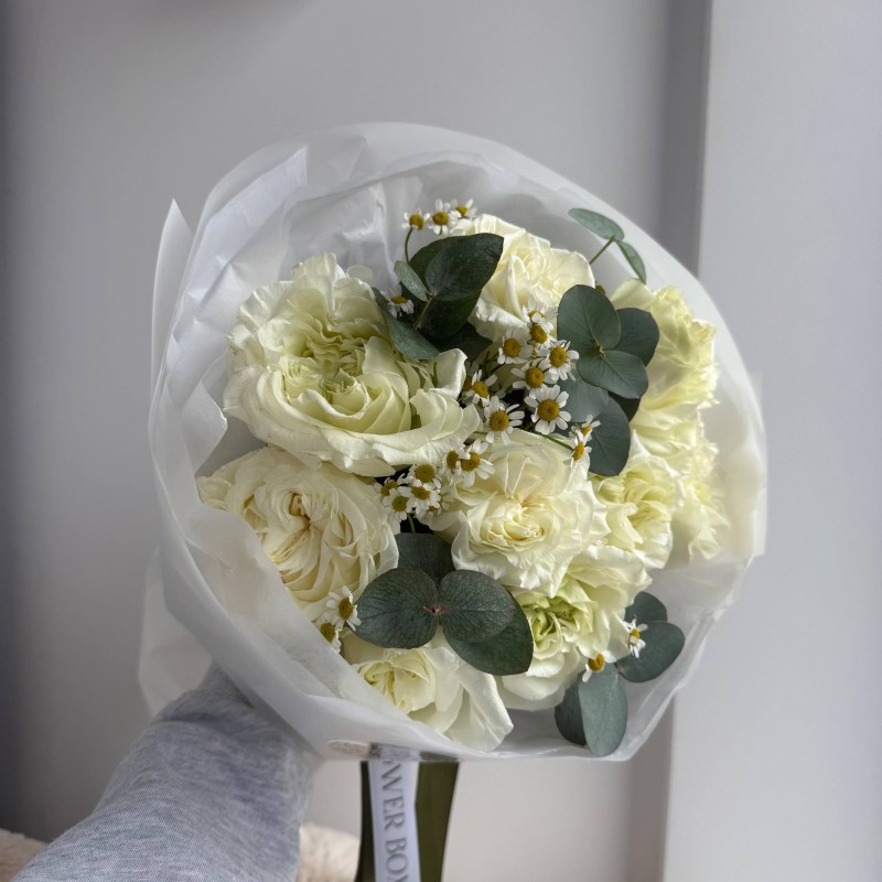 Нет заданного изображения 