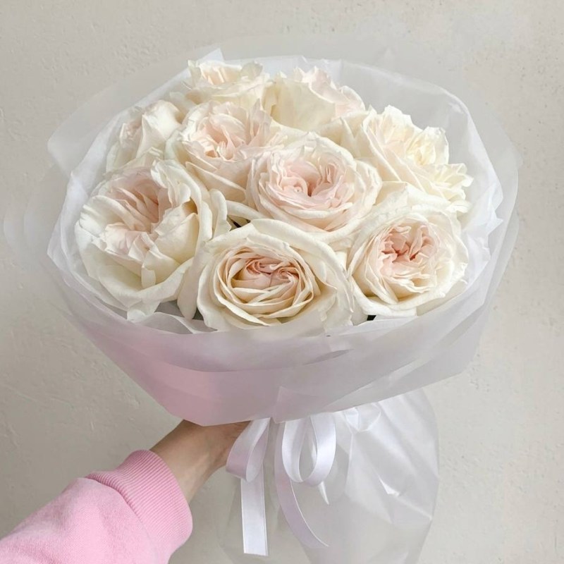 photo_2026-02-28_20-27-33