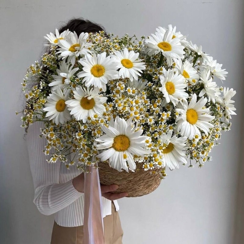 Нет заданного изображения 